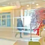 Como falar todas as partes do corpo humano em inglês